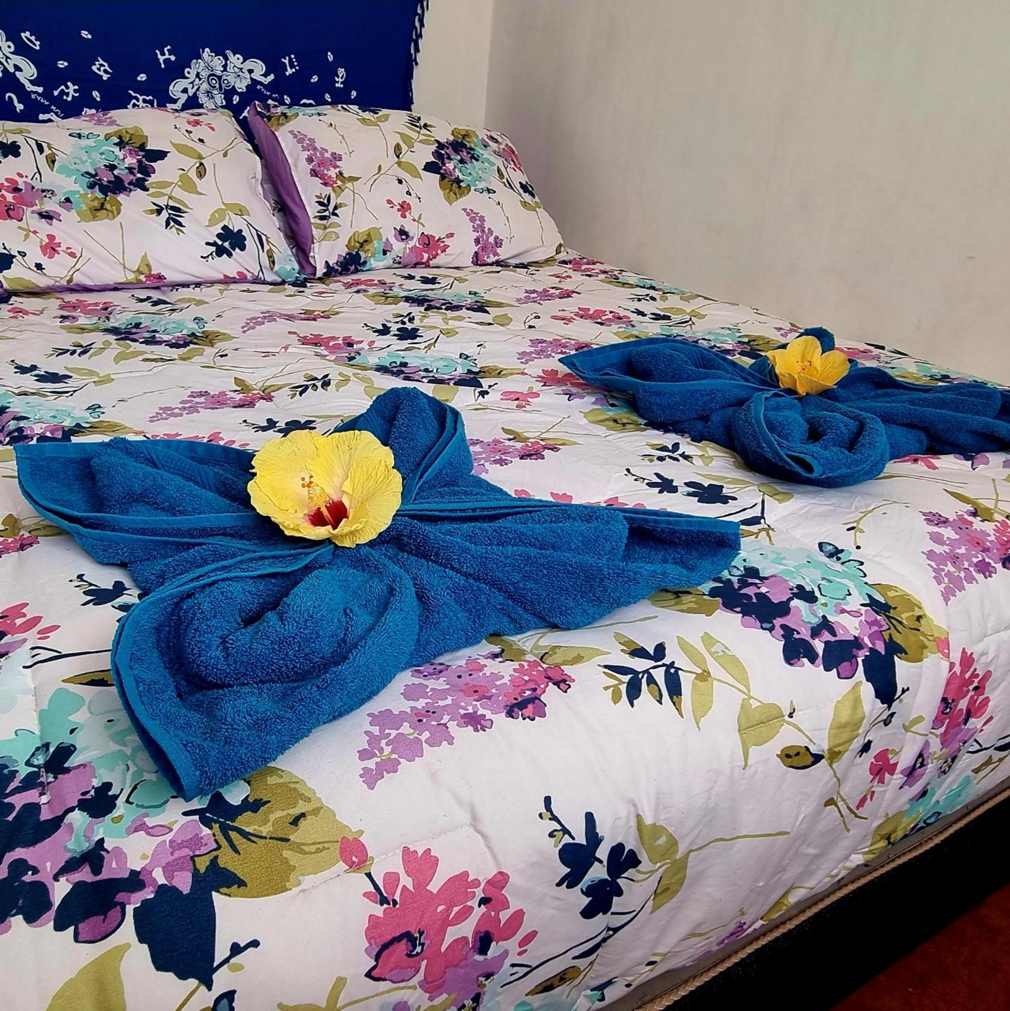 Cabanas Henua Roa Ханга Роа Стая снимка